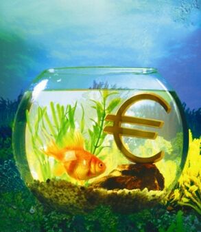 Аквариум с золотыми рыбками привлекает деньги
